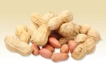 Premium Peanuts From China