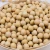 Import yellow soybeans seed soy bean oil seed from South Africa