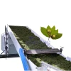 Fully Automatic Mesh Belt Type Plant Drying Equipment Kratom Leaf Dryer Kratom Extract Drying Machine