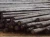 Import Utility Poles | Quality treated wooden transmission poles for sale from South Africa