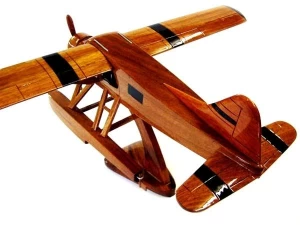 Beaver Airplane