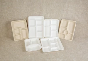 100% Biodegradable Compostable Disposable Sugarcane Bagasse Tray