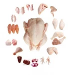 Manufacturers of frozen chicken and Suppliers