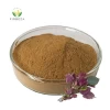 Natural Herb Perilla Frutescens Extract Perilla Leaf Extract Powder