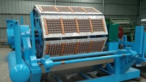 egg tray making machines for sale