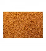 Oil grains seeds of redhead