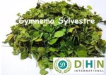 Gymnema Sylvestre leaves and T - Cuts (Gymnemic acids) DHN INTENRNATIONAL