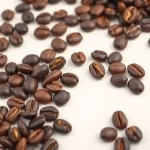Arabica Coffee