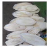 Dried Cuttefish bone Wholesales