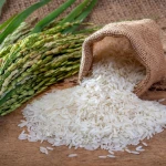 Organic Basmati Rice 100% Natural Long Grain Basmati Rice Healthy Delicious Bulk Purchase For Food Lovers