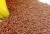 Import Sinking & Floating Premium Fish Feed Pellets from Egypt