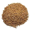 Feed wheat
