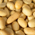 Premium Raw Peanut Bulk Supply Fresh Natural Peanuts Rich In Protein And Oil Content For Wholesale Buyers