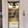 Hot Selling Elevator Home Outdoor Ascensores Para Casa Unifamiliar Exterior Passenger Elevator for Business Building