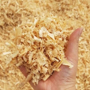 Sawdust Wood Sawdusts