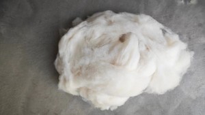 Chinese Carded Sheep Wool Lamb Wool super soft 16..5mic wool fibre
