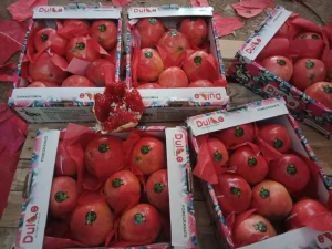 Fresh Egyptian Pomegranate