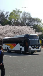 universe prime bus