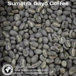 Sumatra Gayo Coffee Beans - ARABICA COFFEE