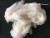 Import Chinese Carded Sheep Wool Lamb Wool super soft 16..5mic wool fibre from China