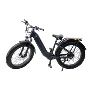 2025 Fat Tire Electric Bike Beach Cruiser Rear Hub Motor 48V500W Bafang