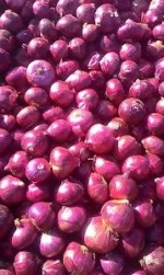Lasalgaon/Nasik onion/wholesale onion