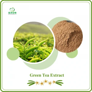 Green tea extract 10%~98% tea polyphenols