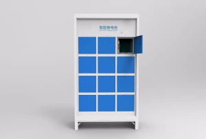 Electric Two-Wheeler Swap Cabinet