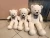 Import Stuffed Animal Plush Toys And Unstuffed Skins from China
