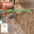 Import Cocopeat LOW EC from Indonesia