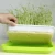 Import High Quality  Greenhouse Plastic Seed tray from China
