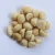 Import Premium South African Macadamia Nuts | Raw Kernel & Nut in Shell | Bulk Wholesale Supplier from South Africa