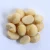 Import Premium South African Macadamia Nuts | Raw Kernel & Nut in Shell | Bulk Wholesale Supplier from South Africa