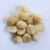 Import Premium South African Macadamia Nuts | Raw Kernel & Nut in Shell | Bulk Wholesale Supplier from South Africa