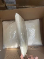 Frozen Coconut Milk – Vietnam Origin