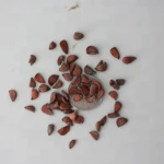 100% natural and fresh Papaya Seed For Sale..