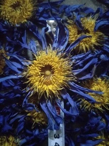 100% Nature Chinese Blooming Perfume blue Lotus Flower Tea