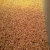 Import 100% pure wood pellet in large quantity for sell from Germany