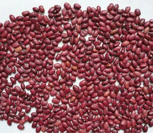 2013 new crop small red kidney beans(655)