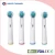 Import 2017 best selling adults electric toothbrush head SB-17A from China