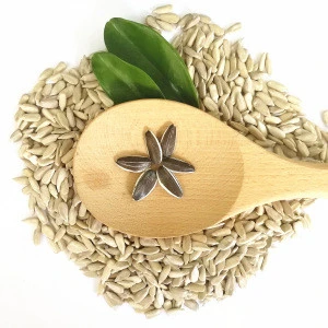 2018 Crop Confectionary Sunflower seeds kernel