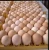 Import 2018 High Quality Egg Product for sale from South Africa