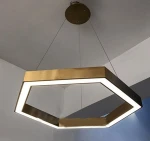 2019 Modern Multiple LED Pendant Light  for Office / Restaurant  WF - L02- 60R