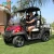 Import 2019 New 4KW Electric Cheap Golf Cart for Sale from China
