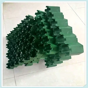 2020 Hot Sales/Plastic Paving Grass Lawn Grids/H38mm/HDPE Green