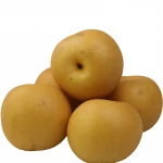 2020 New China Fresh pears fruit