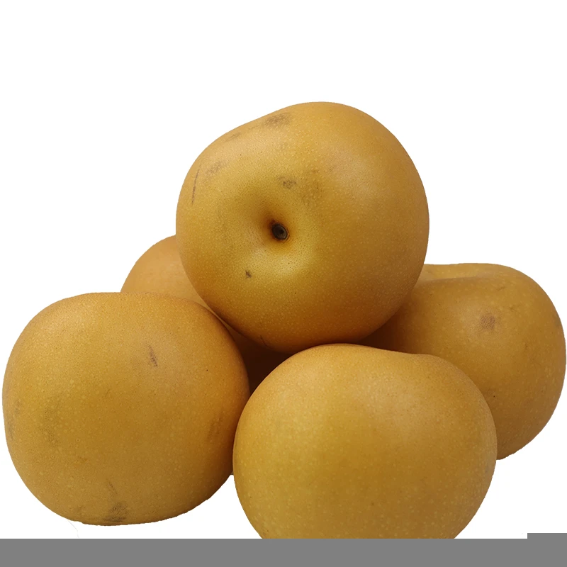 2020 New China Fresh pears fruit