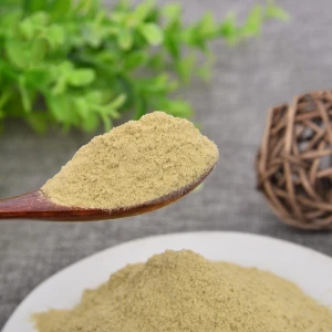 2021 New Product Vegetable Extract Powder Fresh Asparagus Powder