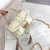 Import 2021 Wholesale New PVC Fashion Ladies Chain Shoulder Pink Leather Handbag Girl Transparent Sling Crossbody Clear Purse Bag Women from China