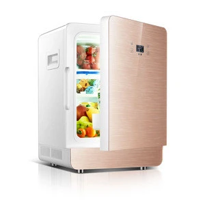 20L portable DC 12v AC 220V Mini bar fridge mobile Hotel cold Drink Mini fridge car refrigerator
